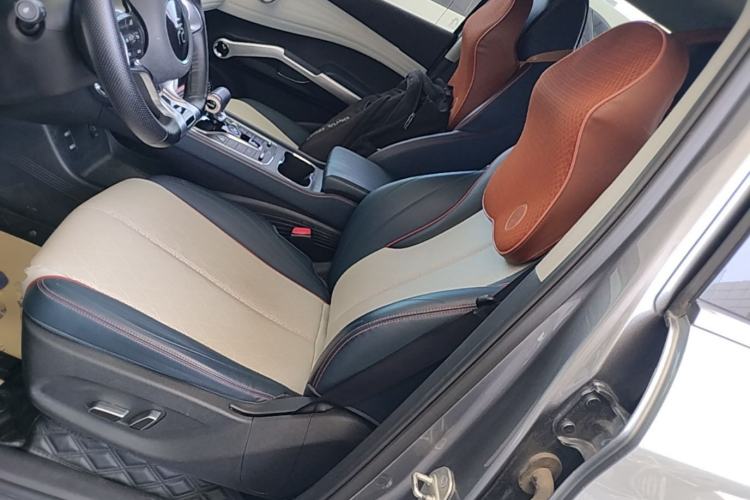 Used BYD Yuan PLUS 2022 430 km Luxury Version Left Front Seat