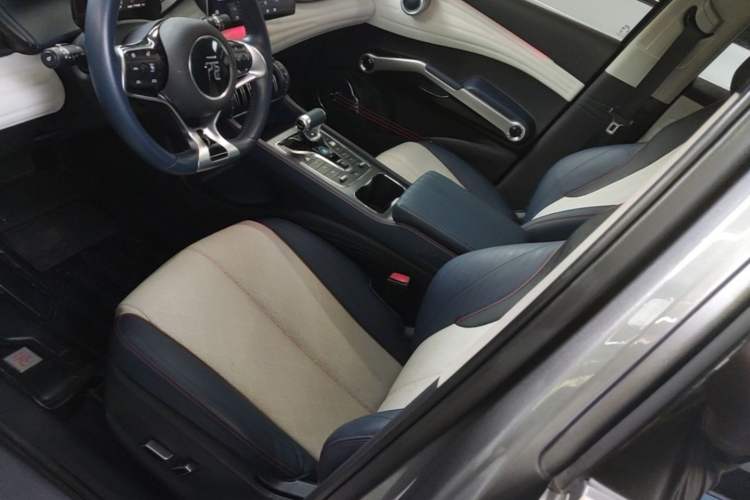 Used BYD Yuan PLUS 2022 510 km Flagship Version Left Front Seat