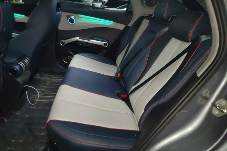 Used BYD Yuan PLUS 2022 510 km Flagship Version Left Rear Seat