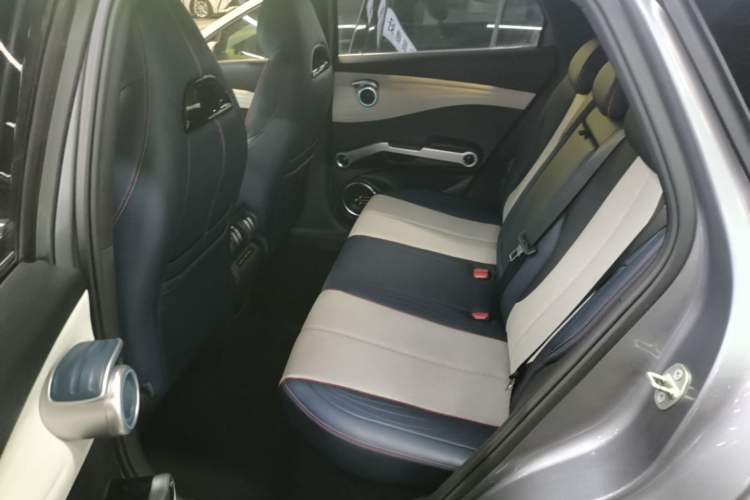 Used BYD Yuan PLUS 2022 510 km Flagship Version Left Rear Seat