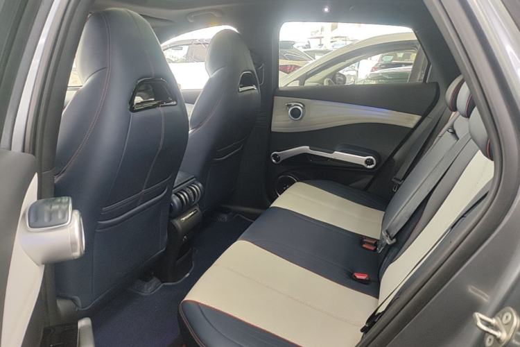 Used BYD Yuan PLUS 2022 510 km Flagship Version Left Rear Seat