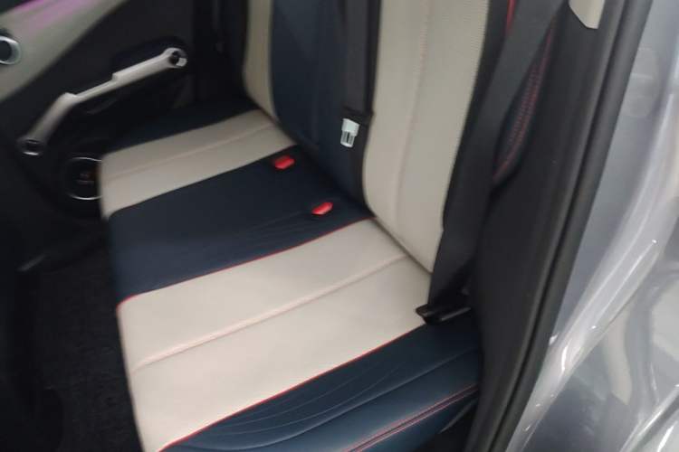 Used BYD Yuan PLUS 2022 510 km Flagship Version Left Rear Seat