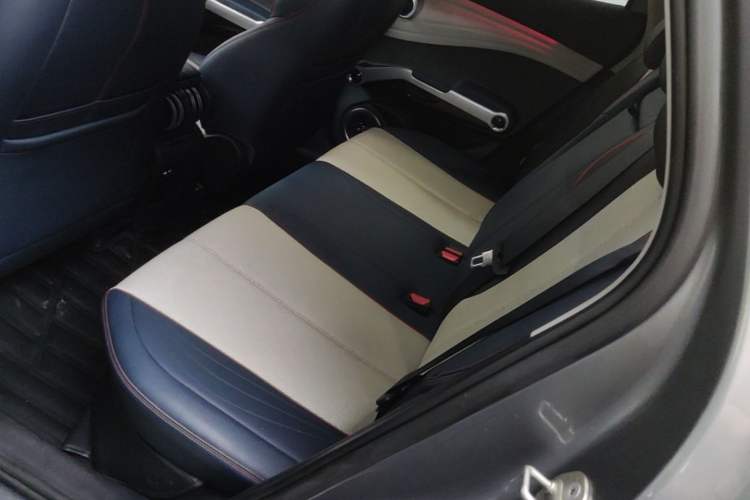 Used BYD Yuan PLUS 2022 510 km Flagship Version Left Rear Seat