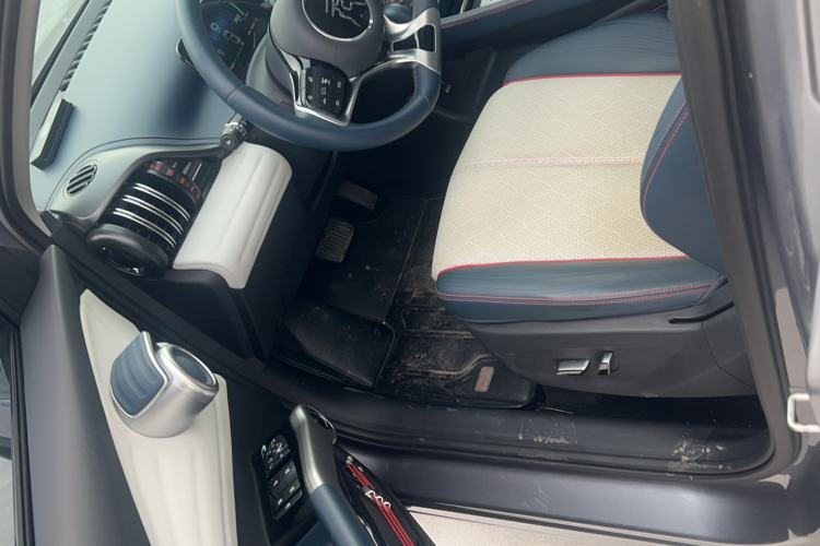 Used BYD Yuan PLUS 2022 510 km Flagship Version Left Rear Seat