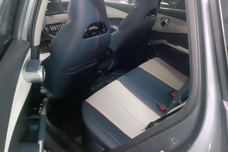 Used BYD Yuan PLUS 2022 430 km Luxury Version Left Rear Seat