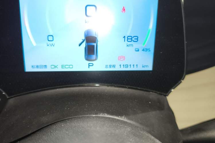 Used BYD Yuan PLUS 2022 430 km Luxury Version Odometer Close Up