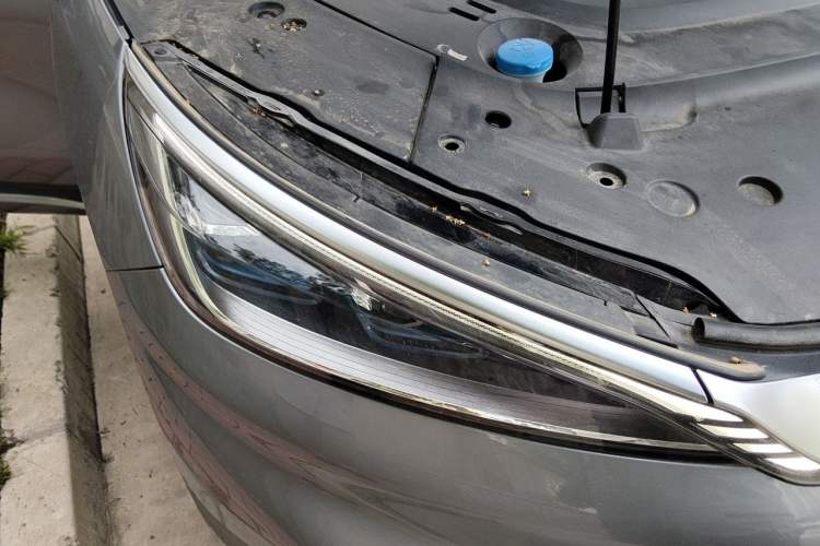 Used BYD Yuan PLUS 2022 510 km Flagship Version Right Front Headlight