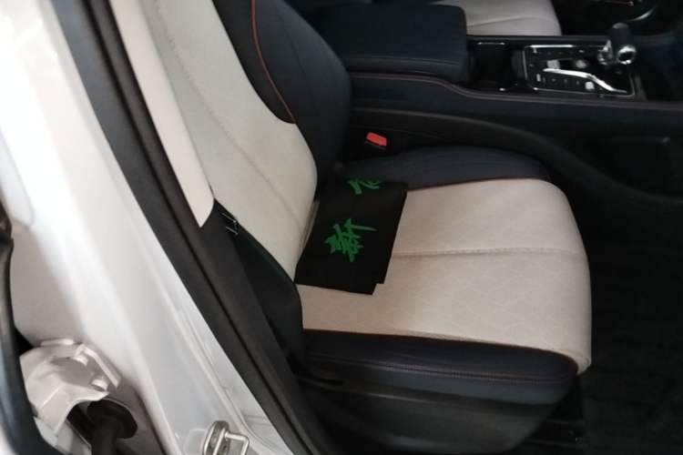 Used BYD Yuan PLUS 2022 510 km Flagship Version Right Front Seat