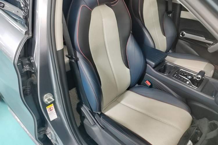 Used BYD Yuan PLUS 2022 510 km Luxury Version Right Front Seat