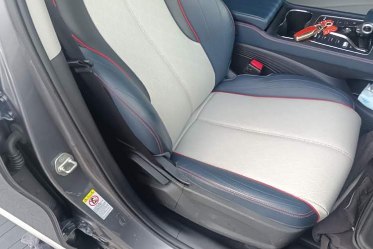Used BYD Yuan PLUS 2022 510 km Flagship Version Right Front Seat