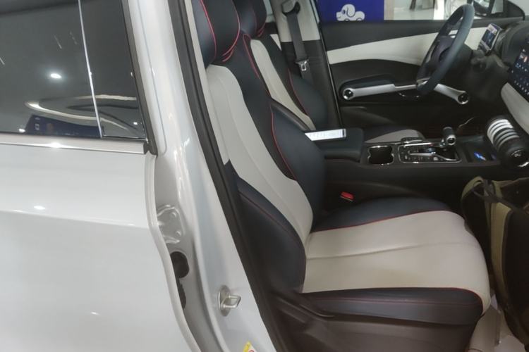 Used BYD Yuan PLUS 2022 510 km Flagship Version Right Front Seat