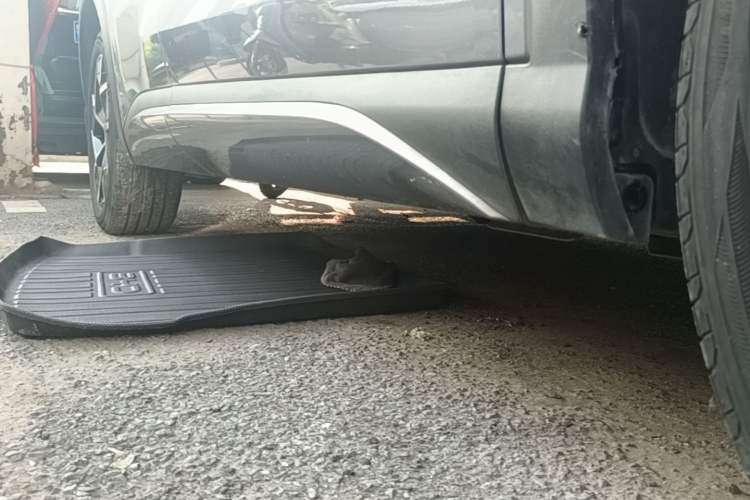 Used BYD Yuan PLUS 2022 510 km Flagship Version Right Side Sill
