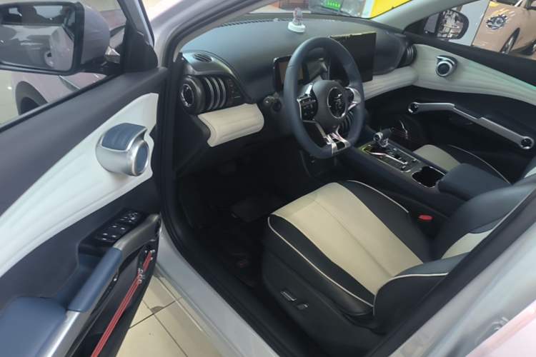 Used BYD Yuan PLUS 2022 510 km Flagship Version Driver Seat