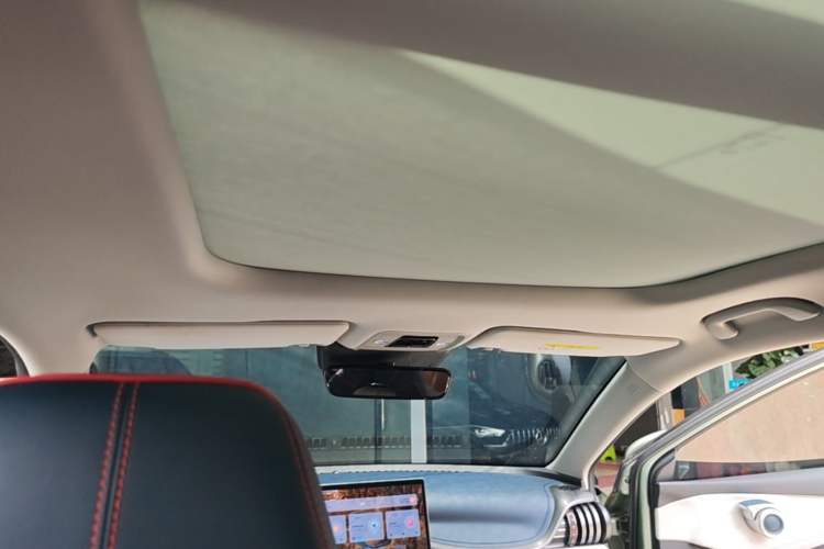Used BYD Yuan PLUS 2022 430 km Luxury Version Headliner