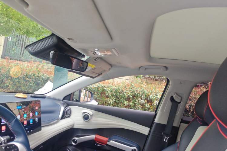 Used BYD Yuan PLUS 2022 510 km Flagship Version Headliner