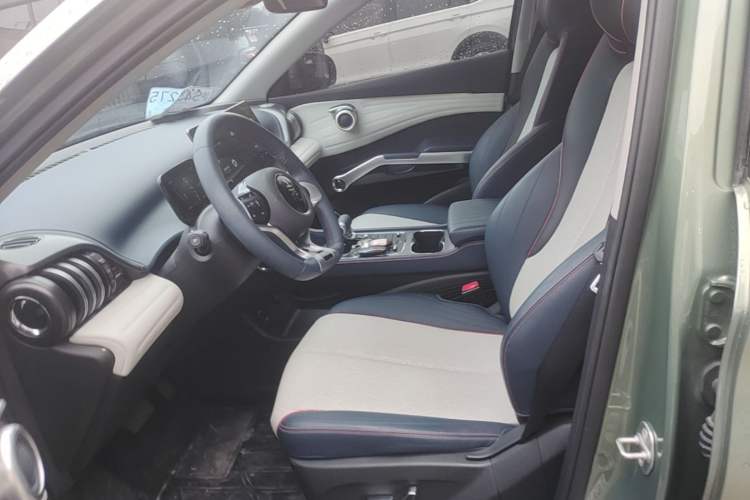 Used BYD Yuan PLUS 2022 510KM Flagship PLUS Left Front Seat