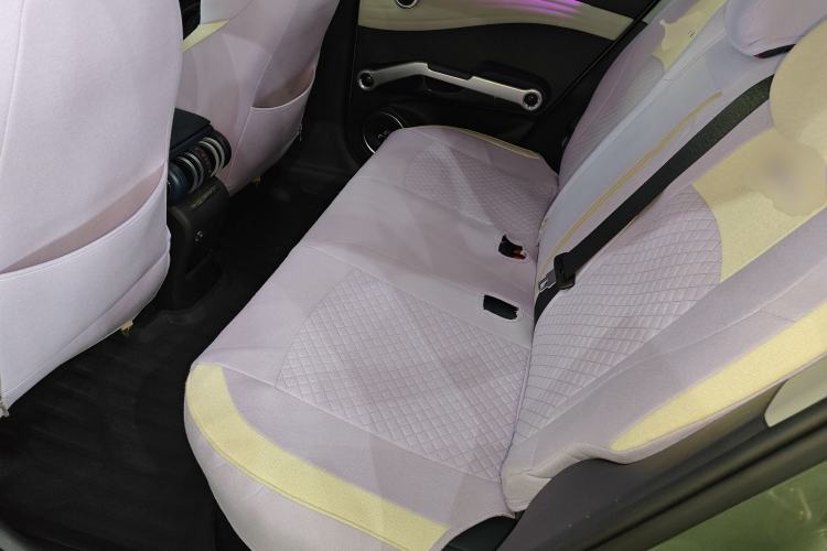 Used BYD Yuan PLUS 2022 510 km Flagship Version Left Rear Seat
