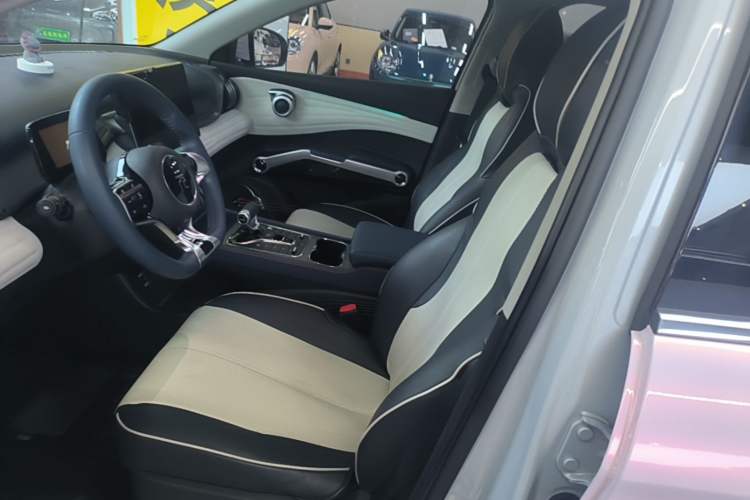 Used BYD Yuan PLUS 2022 510 km Flagship Version Left Front Seat