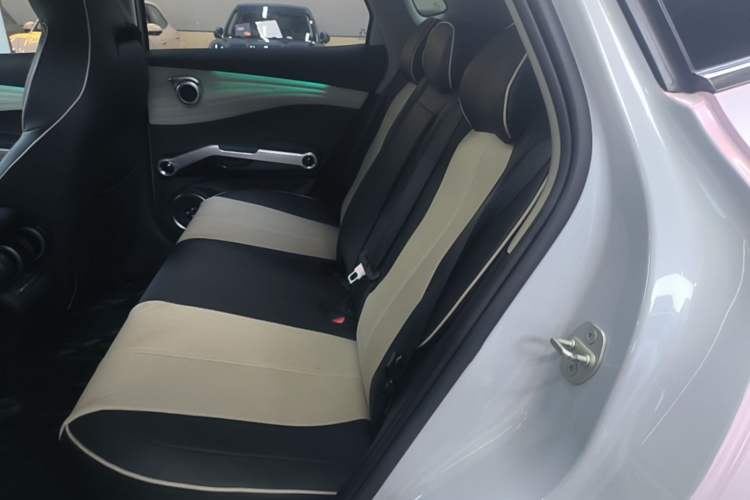 Used BYD Yuan PLUS 2022 510 km Flagship Version Left Rear Seat