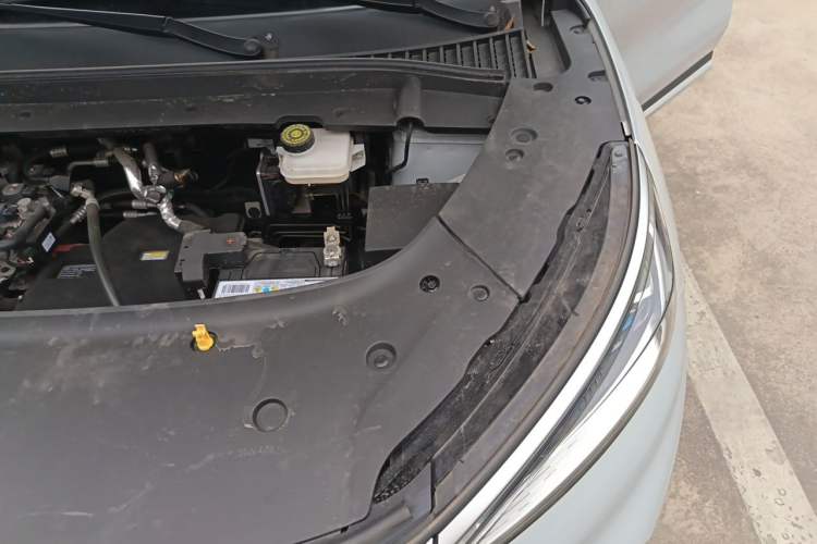 Used BYD Yuan PLUS 2022 430 km Luxury Version Engine Bay Left