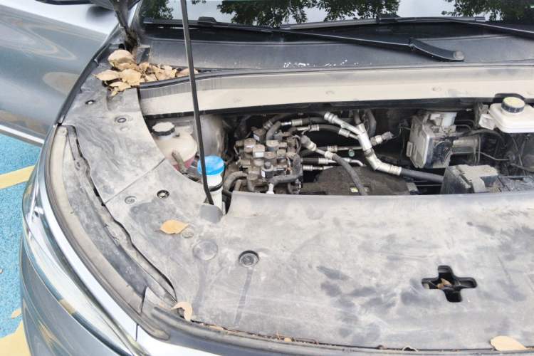 Used BYD Yuan PLUS 2022 510 km Luxury Version Engine Bay Right