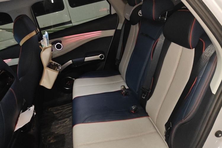 Used BYD Yuan PLUS 2022 510KM Flagship PLUS Left Rear Seat