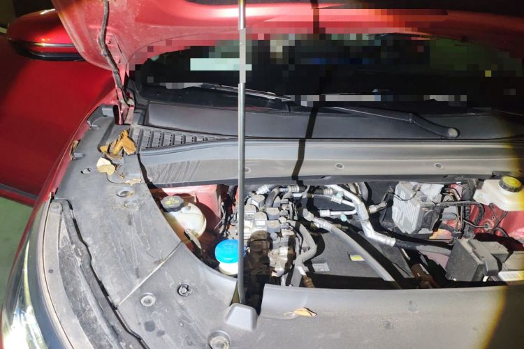 Used BYD Yuan PLUS 2022 430 km Luxury Version Engine Bay Right