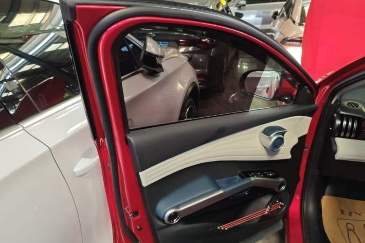 Used BYD Yuan PLUS 2022 510 km Flagship Version Left Front Door Interior