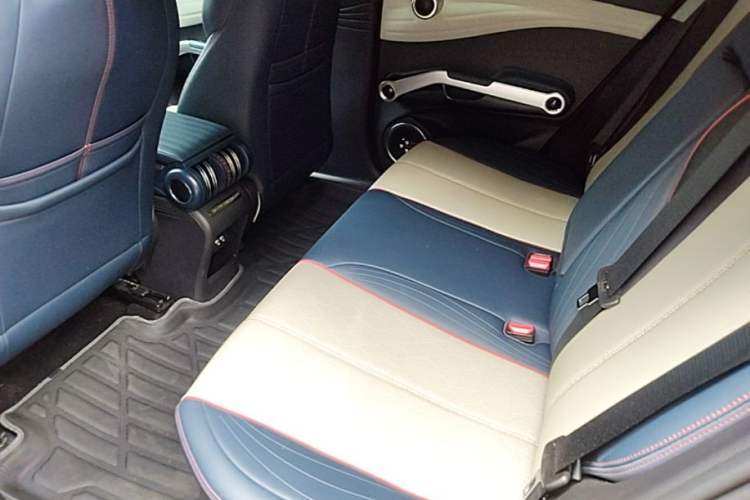 Used BYD Yuan PLUS 2022 430 km Luxury Version Left Rear Seat