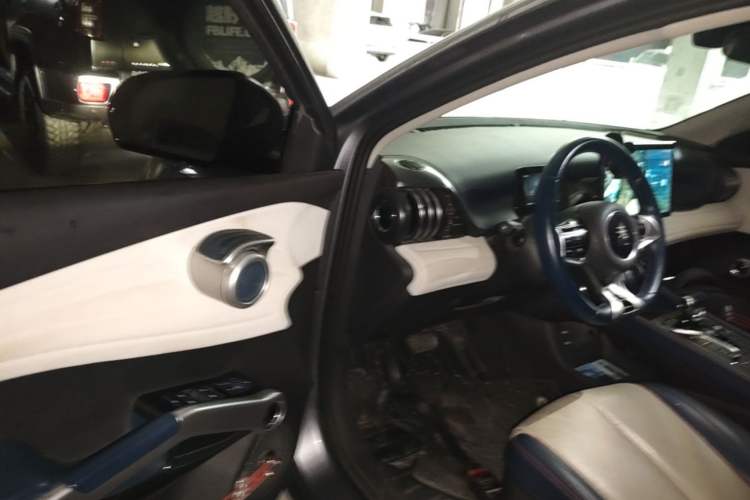 Used BYD Yuan PLUS 2022 510 km Luxury Version Driver Seat