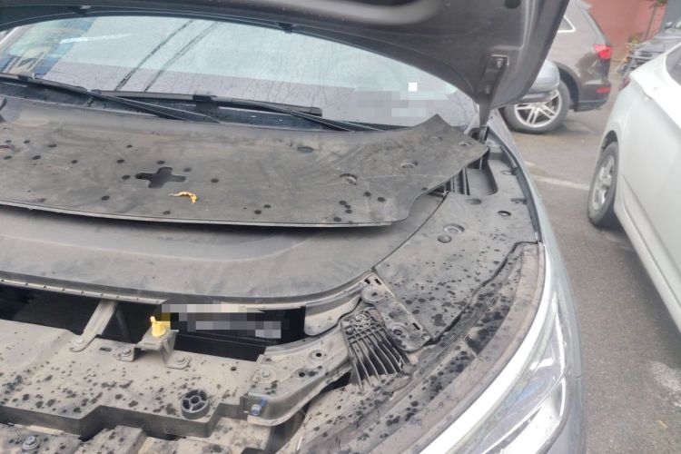 Used BYD Yuan PLUS 2022 510KM Flagship PLUS Engine Bay Left