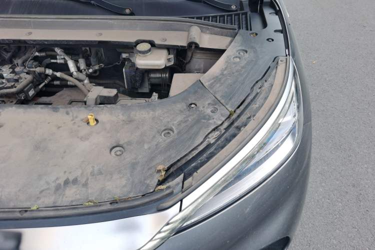 Used BYD Yuan PLUS 2022 510 km Luxury Version Engine Bay Left