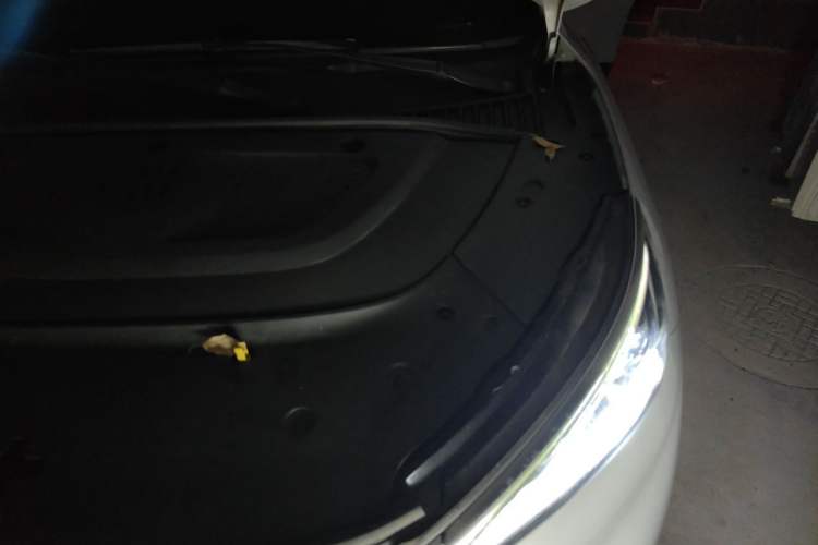 Used BYD Yuan PLUS 2022 510KM Flagship PLUS Engine Bay Left