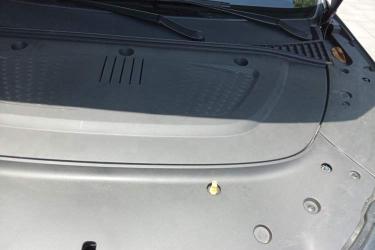 Used BYD Yuan PLUS 2022 510 km Flagship Version Engine Bay Left