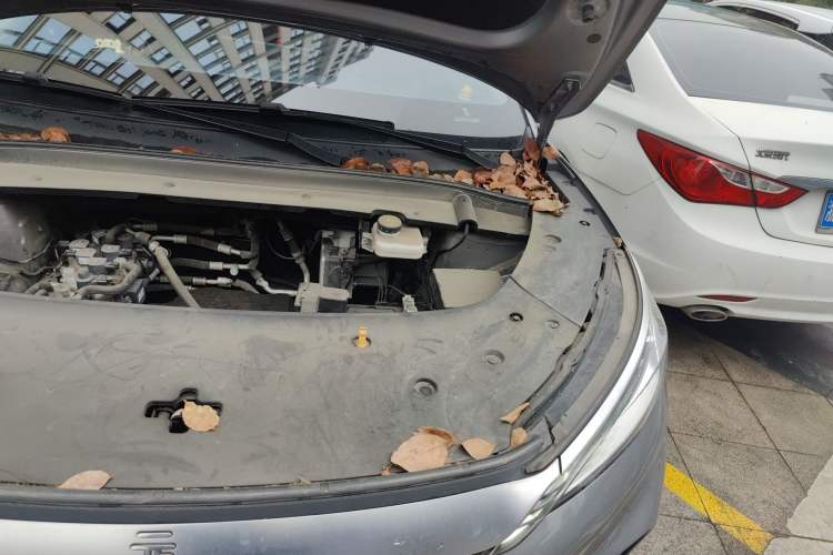 Used BYD Yuan PLUS 2022 510 km Luxury Version Engine Bay Left