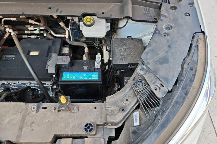 Used BYD Yuan PLUS 2022 510 km Luxury Version Engine Bay Left