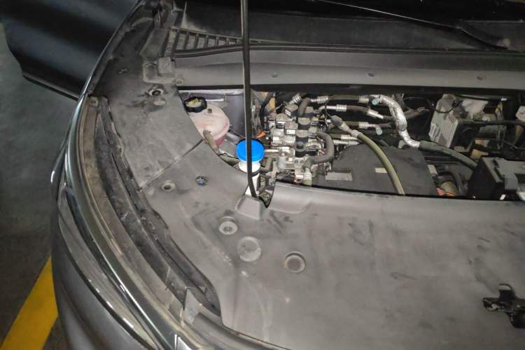 Used BYD Yuan PLUS 2022 430 km Luxury Version Engine Bay Right