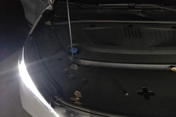 Used BYD Yuan PLUS 2022 510KM Flagship PLUS Engine Bay Right