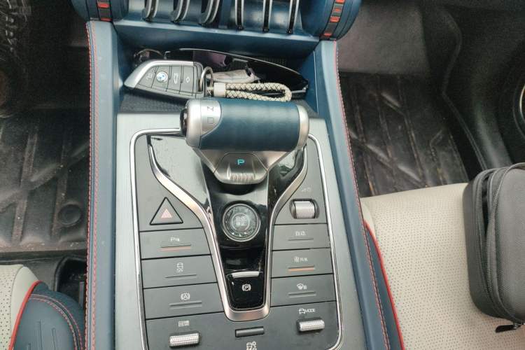 Used BYD Yuan PLUS 2022 510 km Luxury Version Gear Lever