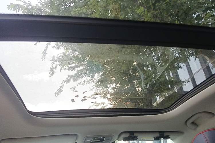 Used BYD Yuan PLUS 2022 430 km Luxury Version Headliner