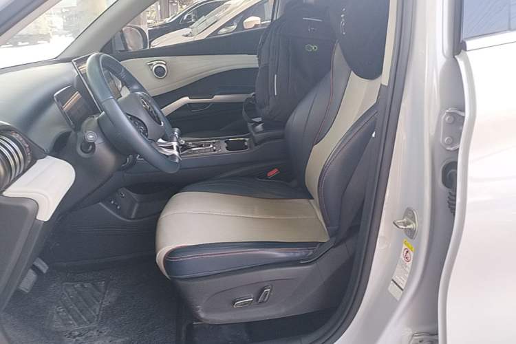Used BYD Yuan PLUS 2022 430 km Luxury Version Left Front Seat