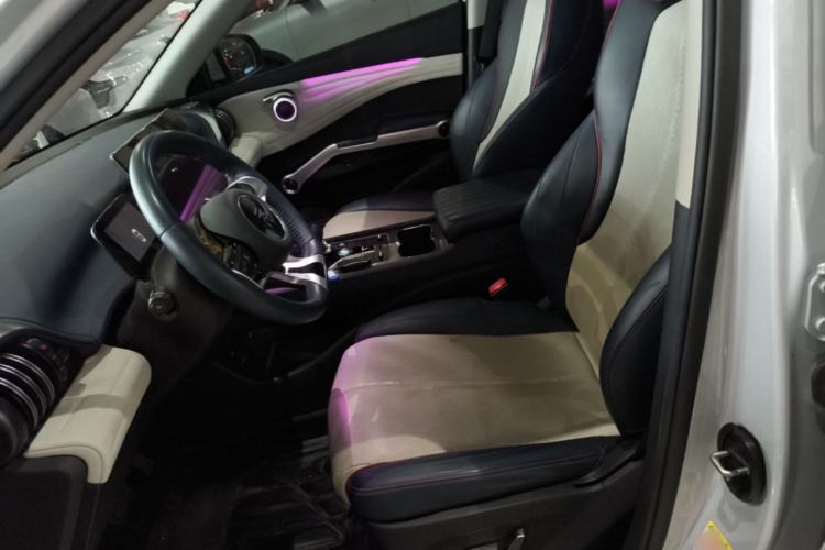 Used BYD Yuan PLUS 2022 510KM Flagship PLUS Left Front Seat