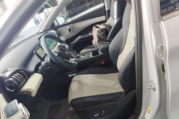 Used BYD Yuan PLUS 2022 510 km Luxury Version Left Front Seat