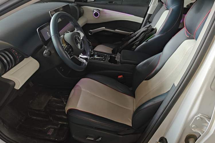 Used BYD Yuan PLUS 2022 510KM Flagship PLUS Left Front Seat