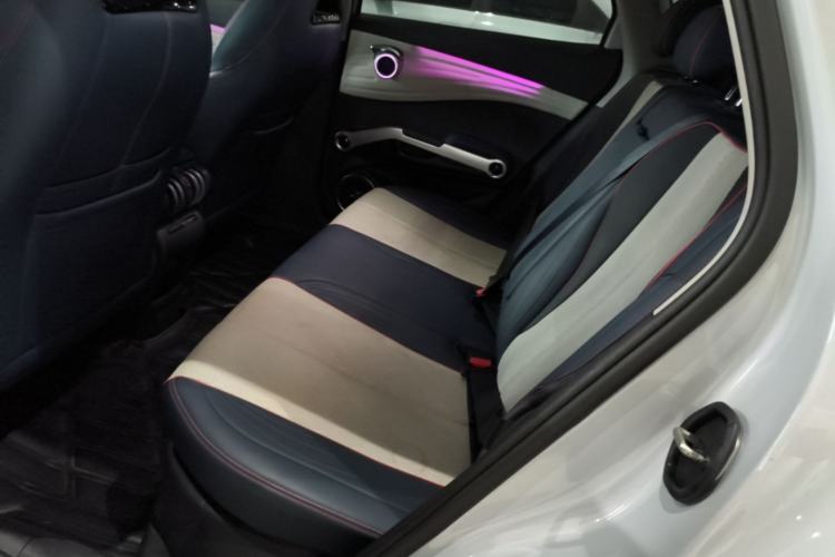Used BYD Yuan PLUS 2022 510KM Flagship PLUS Left Rear Seat