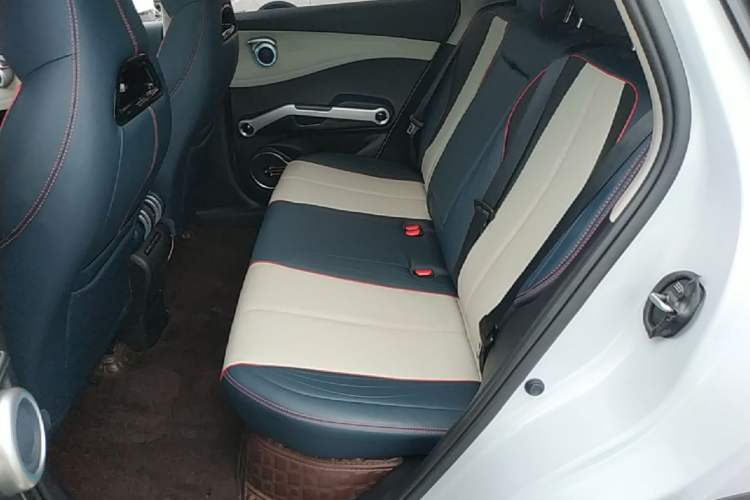 Used BYD Yuan PLUS 2022 510KM Flagship PLUS Left Rear Seat