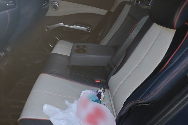 Used BYD Yuan PLUS 2022 510 km Flagship Version Left Rear Seat