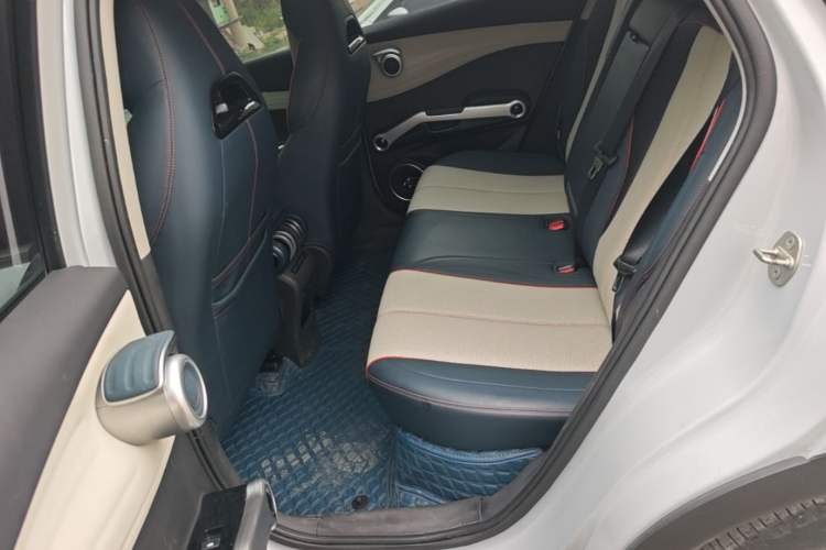 Used BYD Yuan PLUS 2022 510 km Flagship Version Left Rear Seat