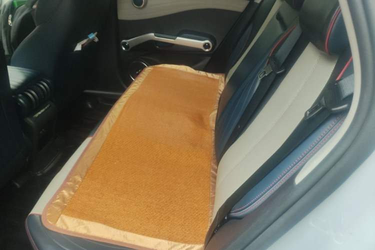 Used BYD Yuan PLUS 2022 510 km Luxury Version Left Rear Seat