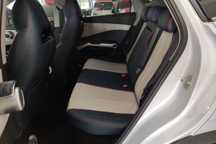 Used BYD Yuan PLUS 2022 430 km Luxury Version Left Rear Seat